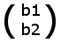 b1 Ket Notation